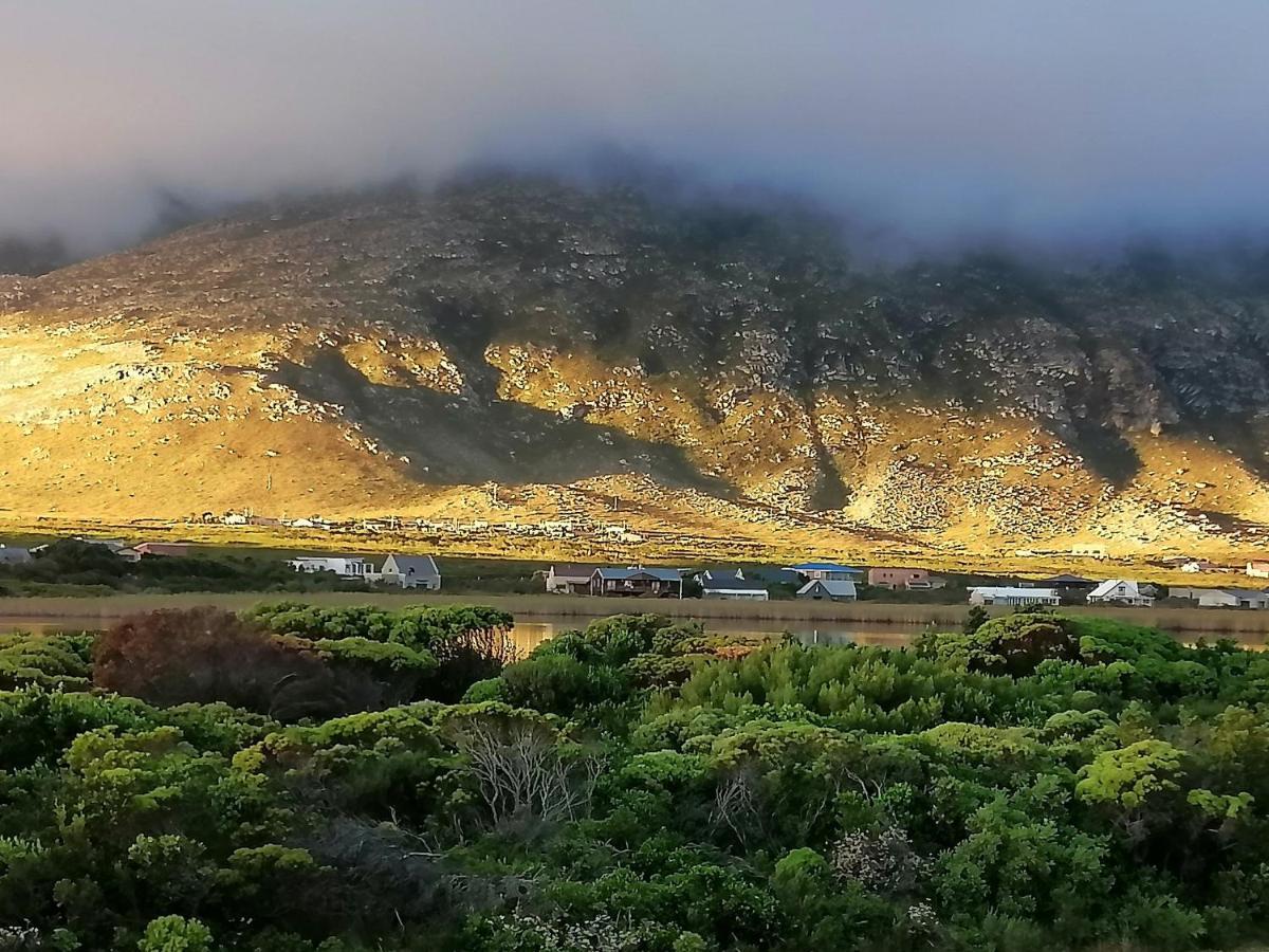 Just Chill Betty'S Bay Daire Dış mekan fotoğraf