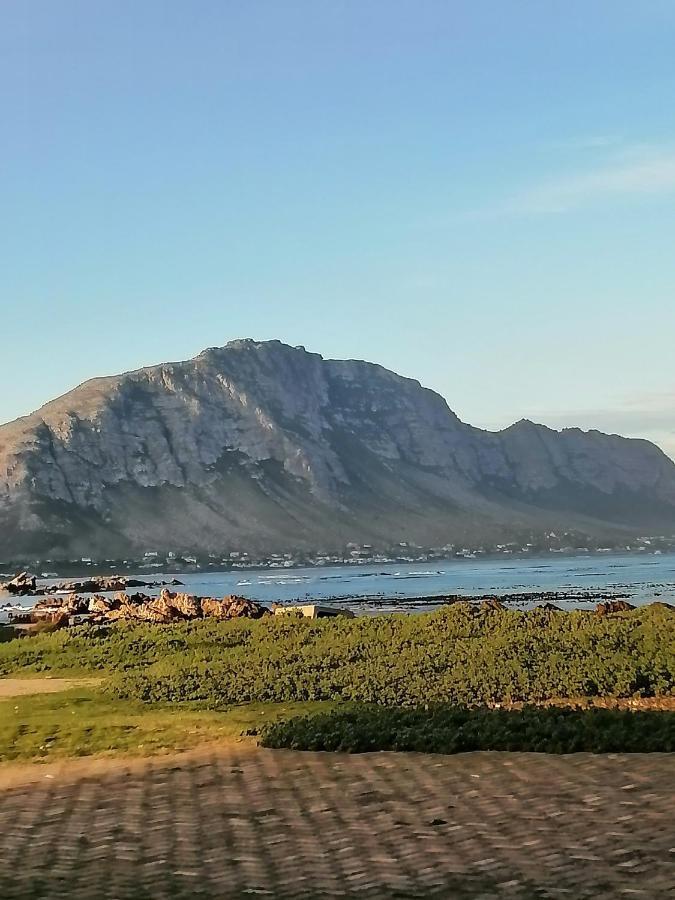 Just Chill Betty'S Bay Daire Dış mekan fotoğraf